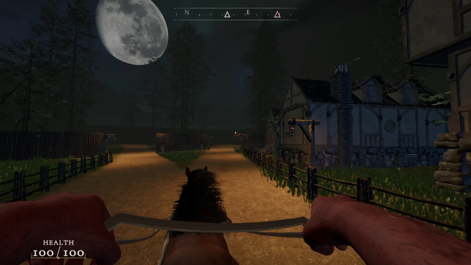 Driving a horse-drawn cart down a moonlit village road in Night Cart.